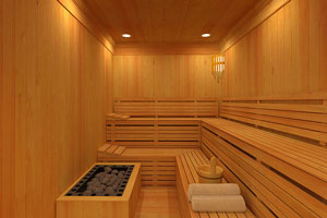 Construir sauna finlandesa